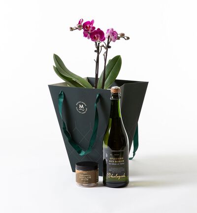 Lilla midi orkidé i gavepose med bobler